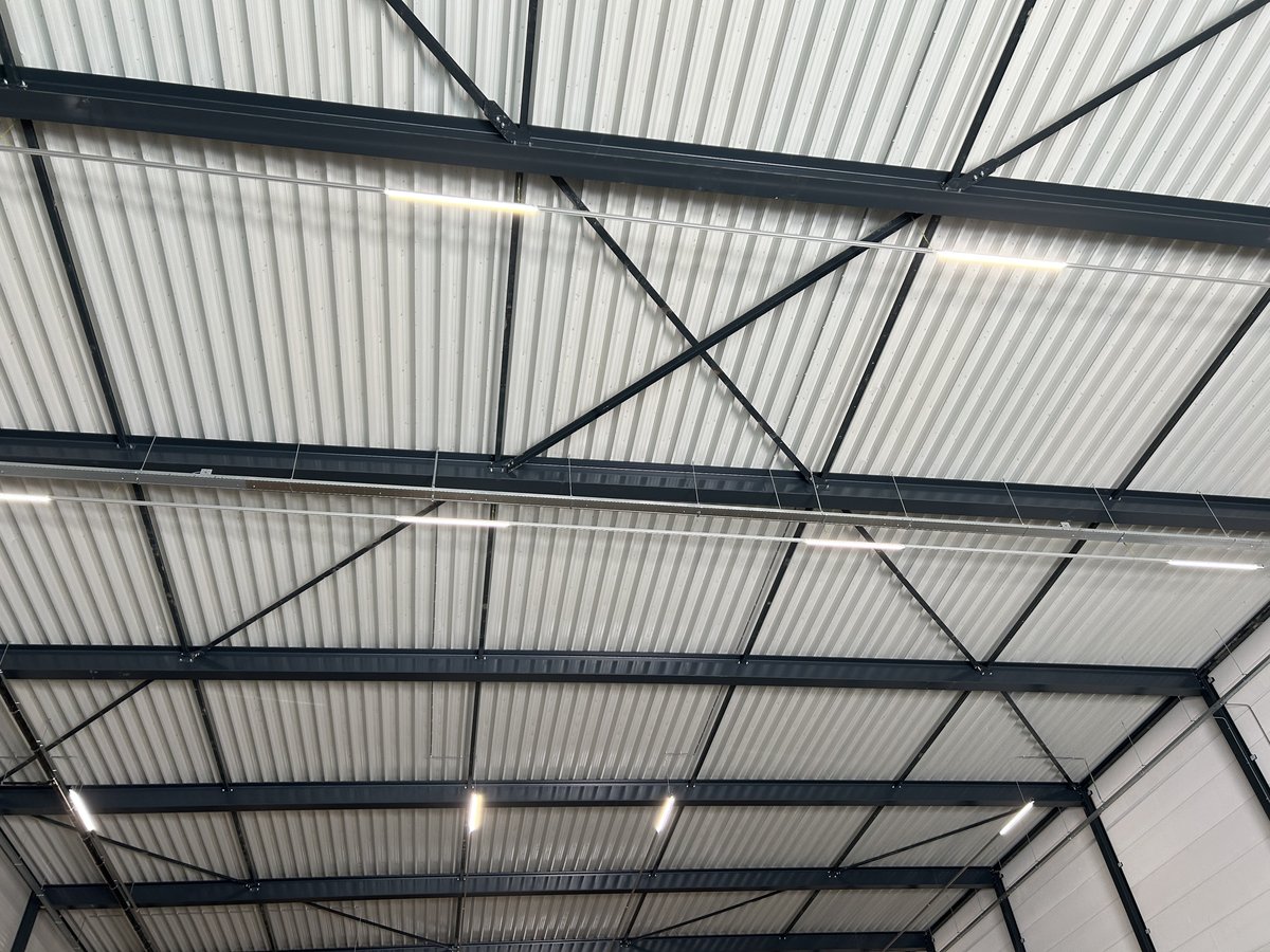 Lichtlijnen gemonteerd in het spantwerk van een bedrijfshal
